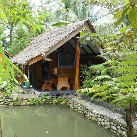 Magpie Homestay & Jungle Trekking Especially For Guest Trekking With Us Bukit Lawang Exterior photo
