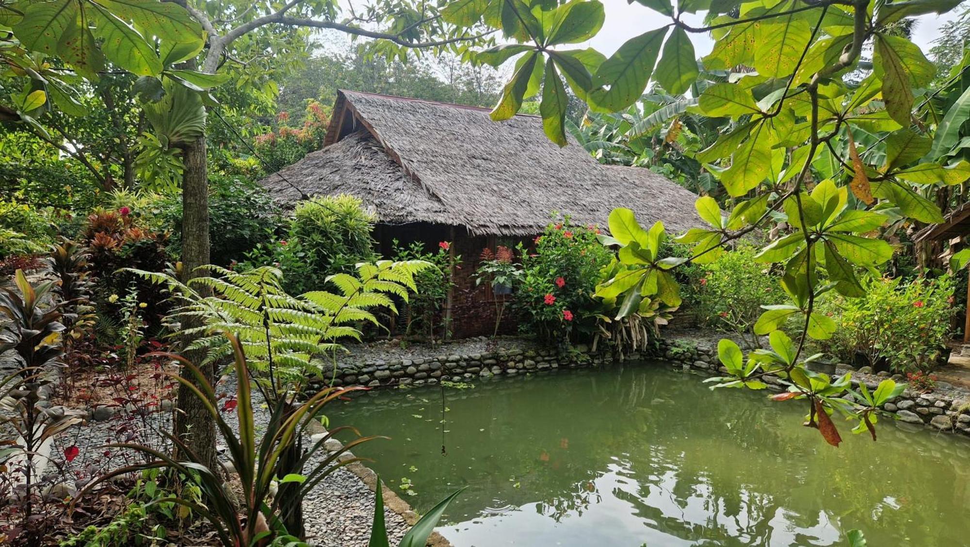 Magpie Homestay & Jungle Trekking Especially For Guest Trekking With Us Bukit Lawang Exterior photo