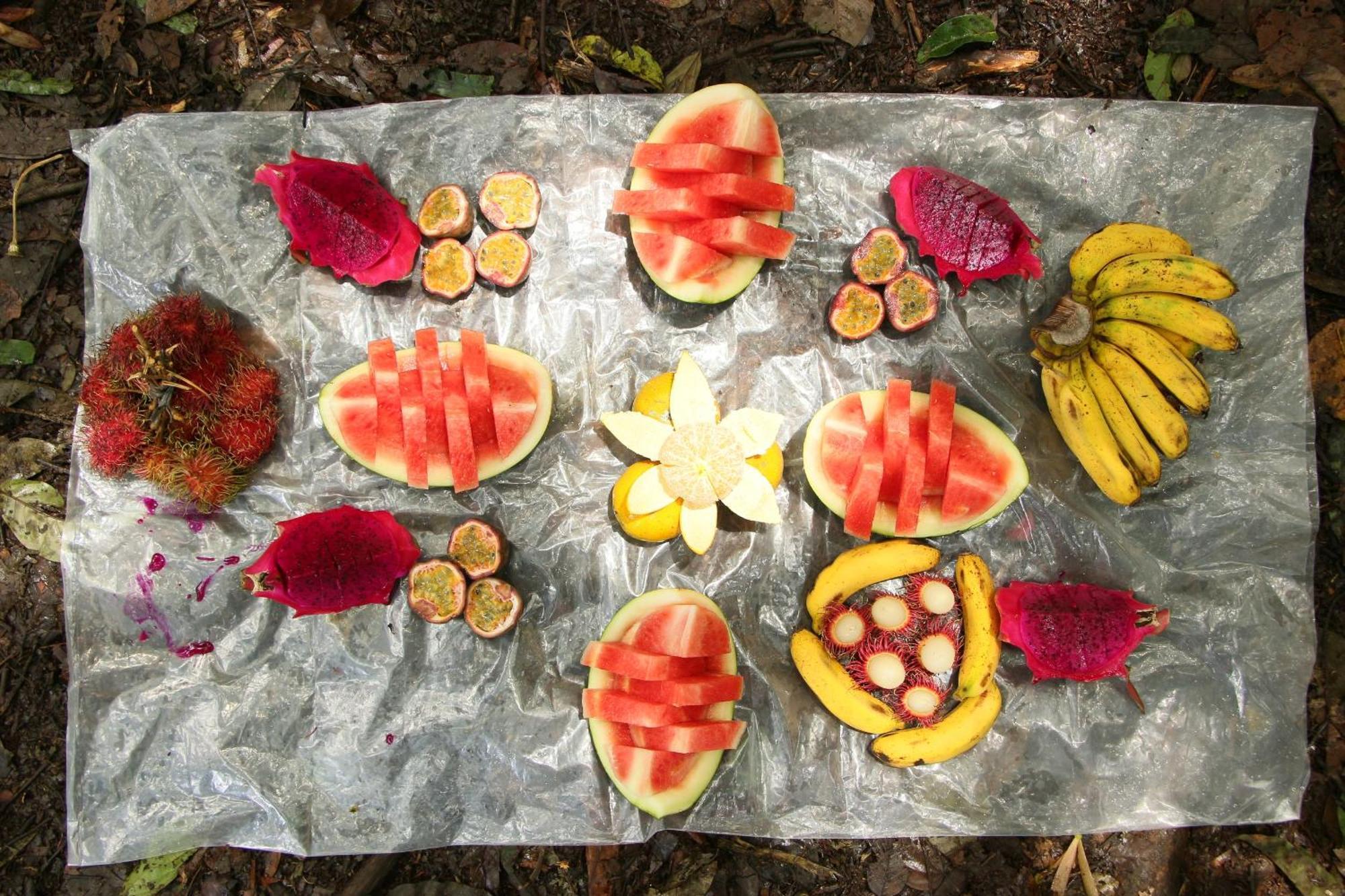 Magpie Homestay & Jungle Trekking Especially For Guest Trekking With Us Bukit Lawang Exterior photo