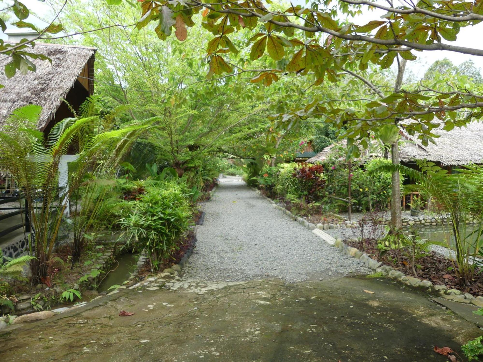 Magpie Homestay & Jungle Trekking Especially For Guest Trekking With Us Bukit Lawang Exterior photo
