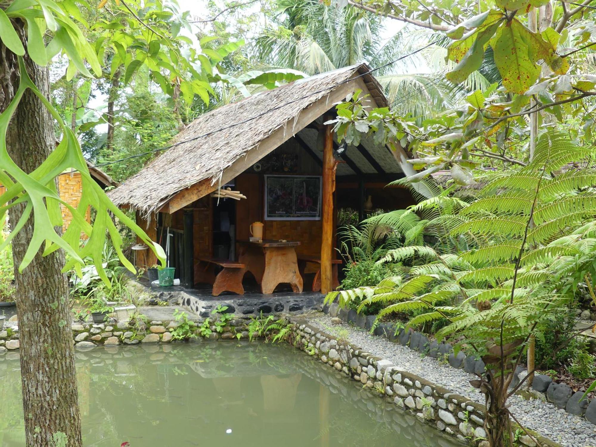Magpie Homestay & Jungle Trekking Especially For Guest Trekking With Us Bukit Lawang Exterior photo